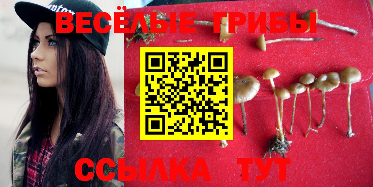 Галлюциногенные грибы GOLDEN TEACHER Лесосибирск