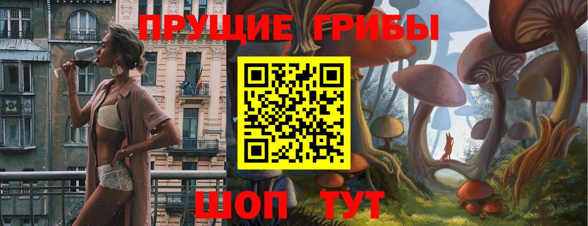 наркота  Псилоцибиновые грибы мицелий  Вход с VPN  Лесосибирск 